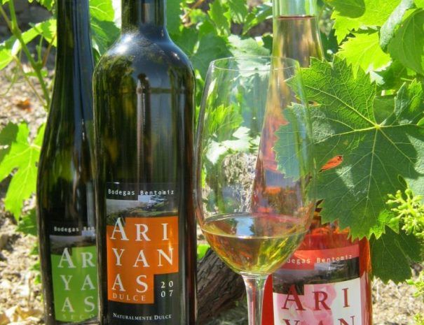 Wine tour Sayalonga 5